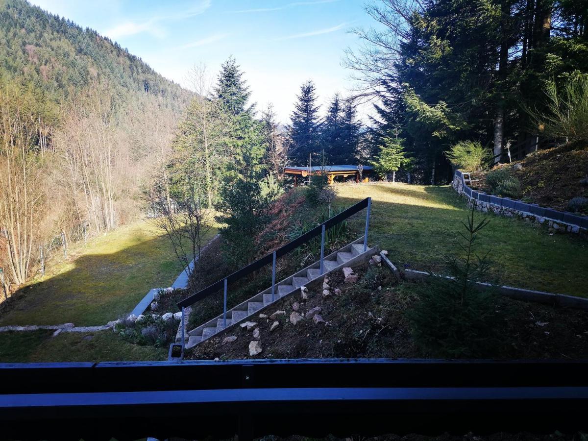 Haus Schwarzwaldblick Villa Hornberg Dış mekan fotoğraf